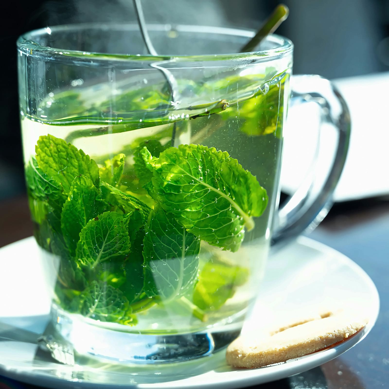 HOT MINT TEA